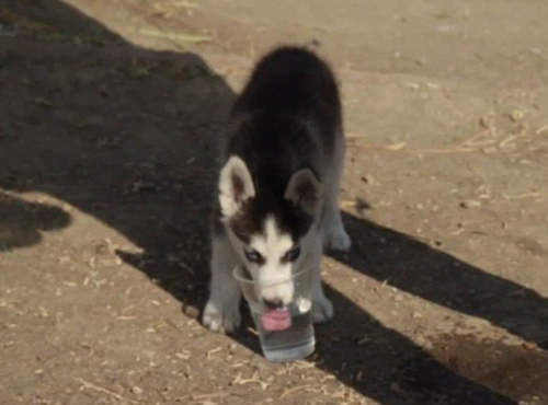 undefined{{pos:,w:,h:}}