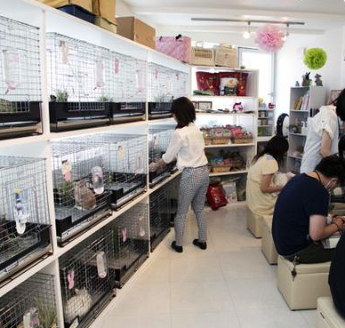 undefined{{pos:,w:,h:}}