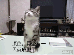 顶住，再坚持一天就放假了！