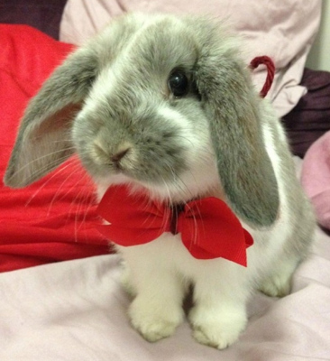 领带不错，哪里卖的！