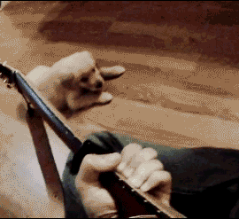 好好弹，我过来听