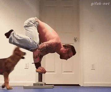 把我眼镜还回来，小婊砸～