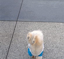 给大家小露一手，真真太腻害啦！