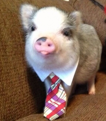 都当白领了，混得不错嘛！