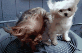 图凉快，发型什么的都顾不上了