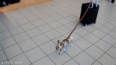 这么能干，让我们人类压力好大！