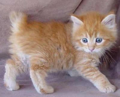 undefined{{pos:,w:,h:}}