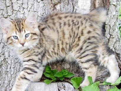 undefined{{pos:,w:,h:}}