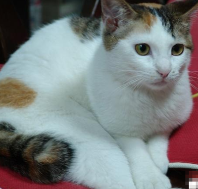 undefined{{pos:,w:,h:}}