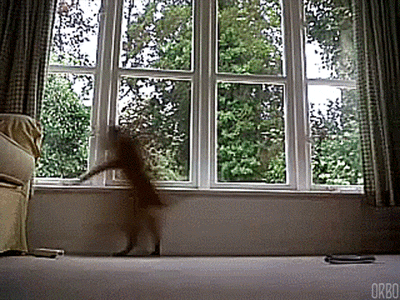 在窗台看到快递/外卖送来时的我.....