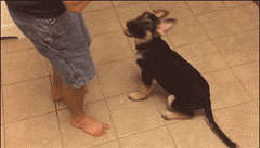 老戏骨了，这点戏码难不倒我。