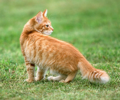 undefined{{pos:,w:,h:}}