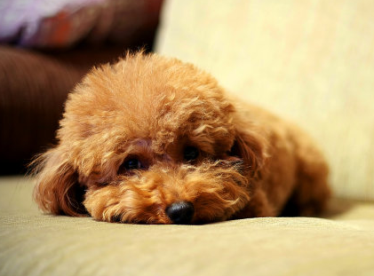 undefined{{pos:,w:,h:}}