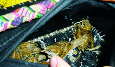 undefined{{pos:,w:,h:}}