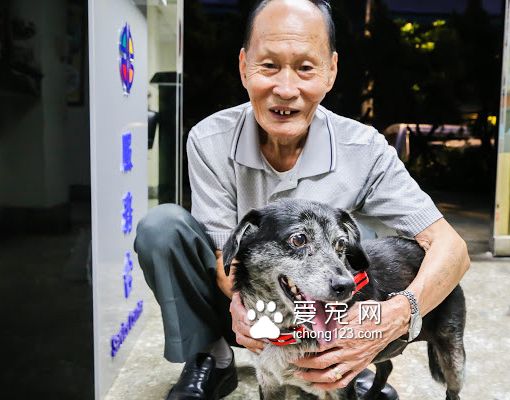 86岁老爷爷寻回10岁爱犬 中秋节前重聚