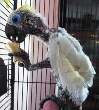 undefined{{pos:,w:,h:}}