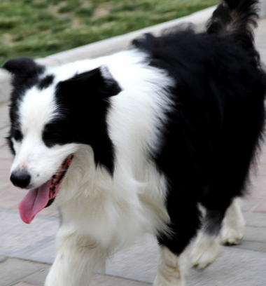 undefined{{pos:,w:,h:}}