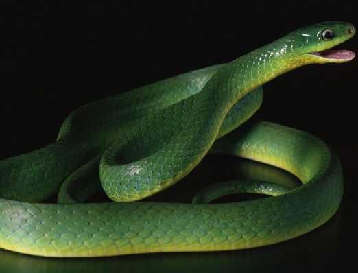 undefined{{pos:,w:,h:}}