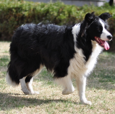 undefined{{pos:,w:,h:}}