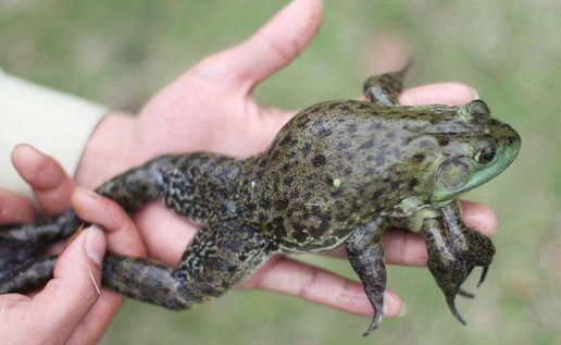 undefined{{pos:,w:,h:}}