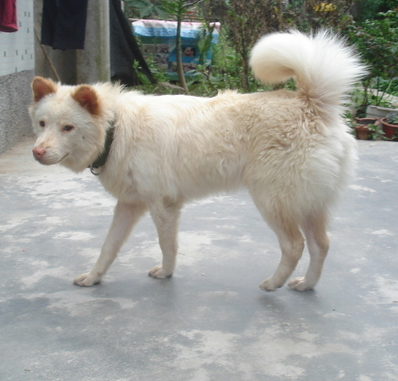 undefined{{pos:,w:,h:}}