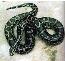 undefined{{pos:,w:,h:}}