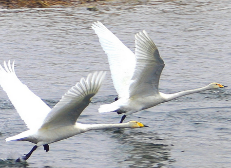 undefined{{pos:,w:,h:}}