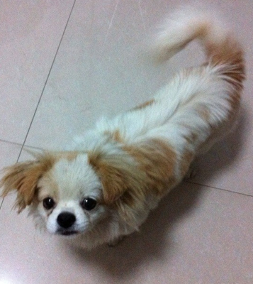 undefined{{pos:,w:,h:}}