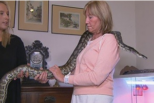 undefined{{pos:,w:,h:}}