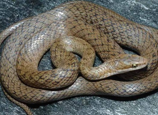 undefined{{pos:,w:,h:}}