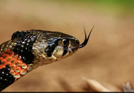 undefined{{pos:,w:,h:}}