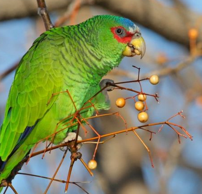 undefined{{pos:,w:,h:}}