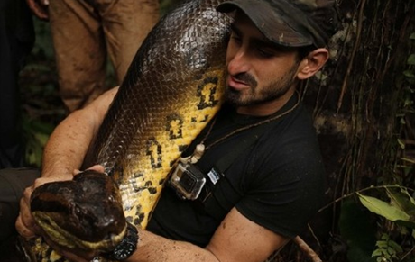 undefined{{pos:,w:,h:}}