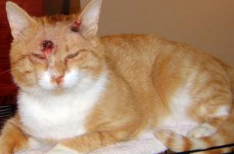 undefined{{pos:,w:,h:}}