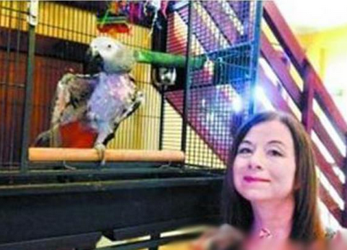 undefined{{pos:,w:,h:}}