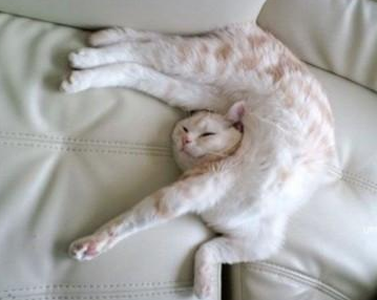 你能换个姿势睡吗！