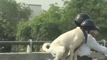 快点开，我上班要迟到了