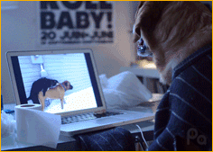 正看GC有人进屋的时候