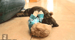 光天化日之下，竟敢强抢民女！！！