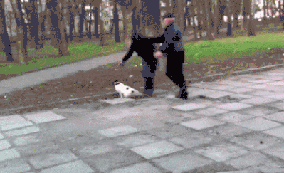 遛狗时遇到坏人怎么办