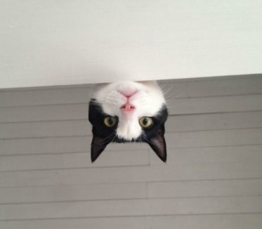 无时无刻监视着