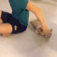 说不松口就不松口，绝不。。。。