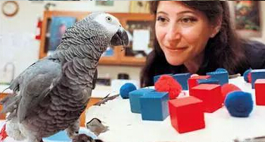 undefined{{pos:,w:,h:}}