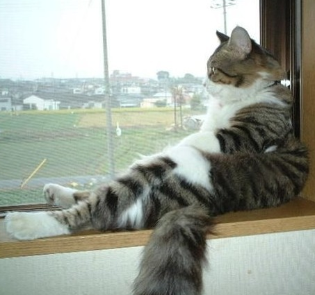 眺望远方的少年！