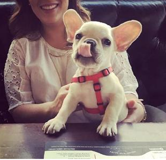 一副饿惨了的表情