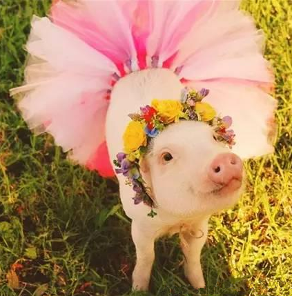 突然发现小粉碎花也很适合我