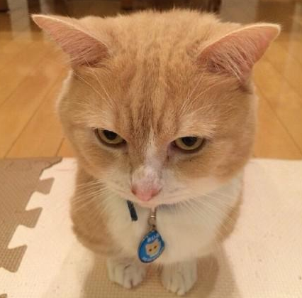 说，谁得罪了你