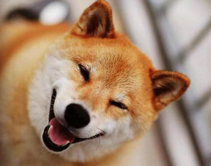 暖化人心的笑容