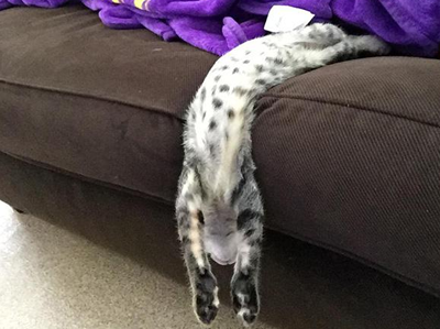 真是销魂的睡姿