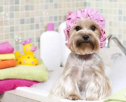 我要洗澡，皮肤好好